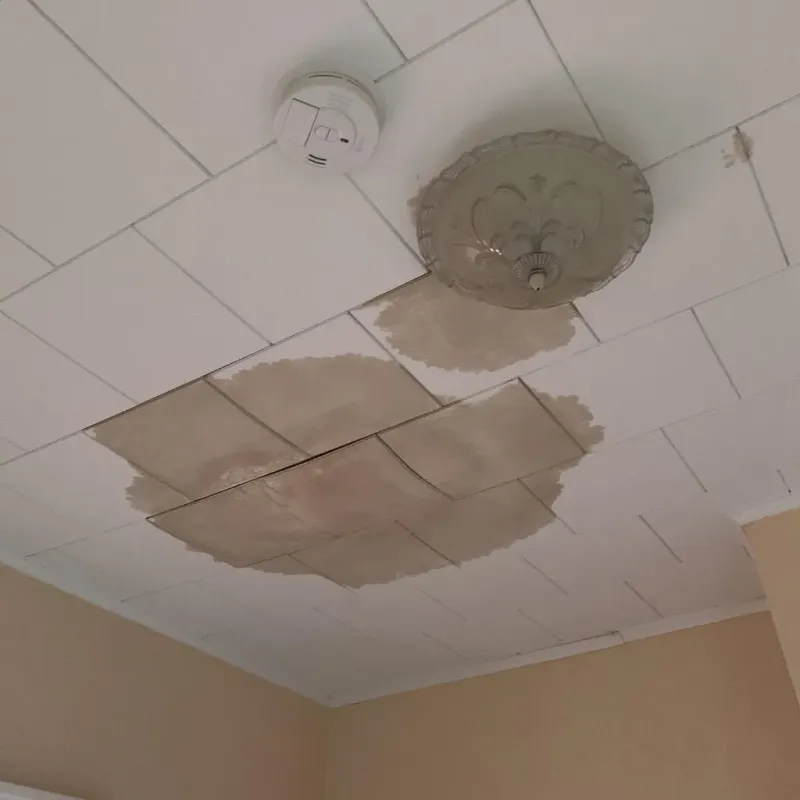 Ceiling Water Damage Repair in Mayes County, OK