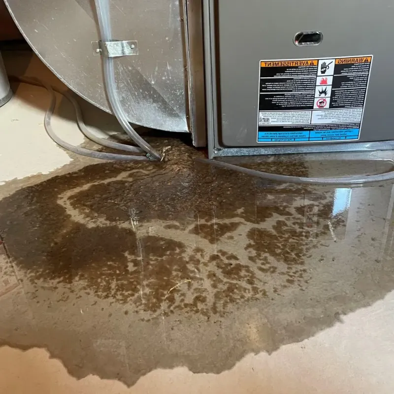 Pipe Burst and Leak Restoration in Mayes County, OK