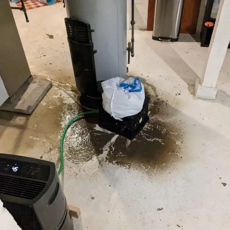 Sewage Backup Cleanup Service in Mayes County, OK
